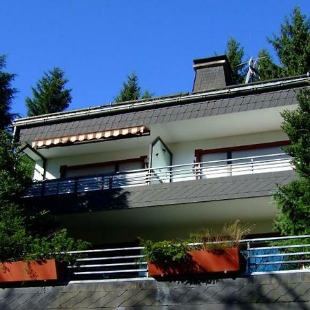 Ferienwohnung Napierski Willingen  Zewnętrze zdjęcie
