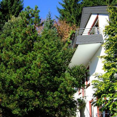 Ferienwohnung Napierski Willingen  Zewnętrze zdjęcie
